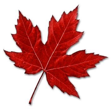 Maple Leaf